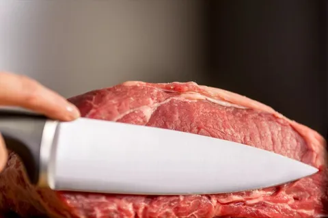 چاقوی سرآشپز ۲۰ سانتی آیس فورس