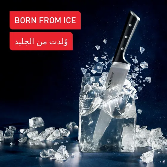 زادهٔ یخ، برای برشی که میماند